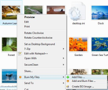 Burn My Files Context Menu