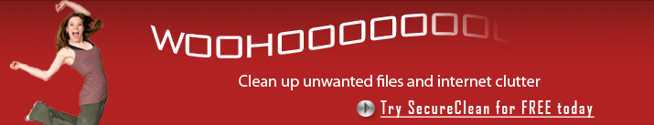 Clean hard drive files with SecureClean